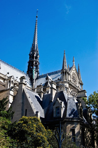 巴黎圣母院的塞纳河，巴黎，法国。