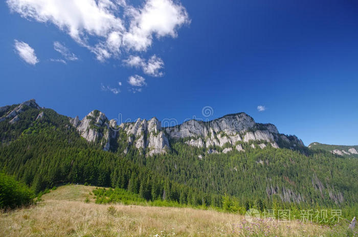 夏季山景