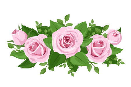 粉红玫瑰，玫瑰花蕾和叶子。