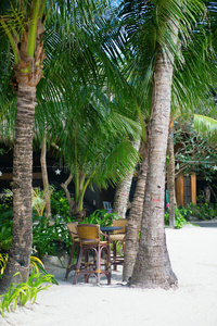 棕榈树下的海滩咖啡馆