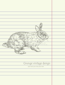 手绘素描兔向量