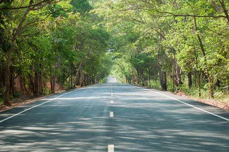 沿路绿树成荫