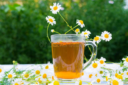 甘菊花茶图片