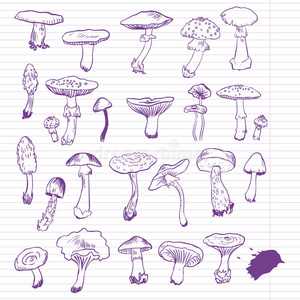 一套线描蘑菇图片