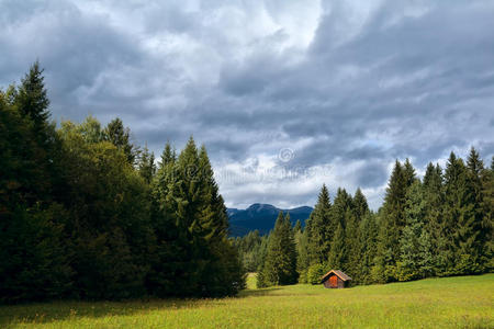 高山针叶林草甸小屋图片