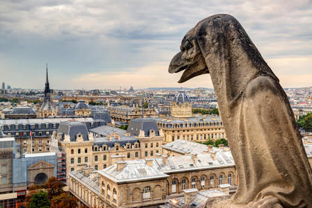 俯瞰巴黎的巴黎圣母院大教堂奇美拉
