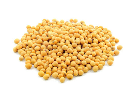 猪蹄黄豆图片-猪蹄黄豆素材-猪蹄黄豆插画-摄图新视界