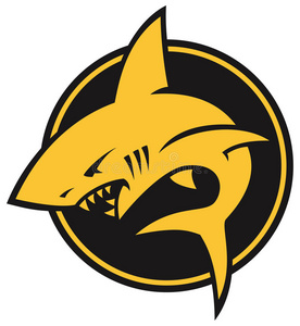 马鲛鱼鲨鱼鲨鱼图案照片