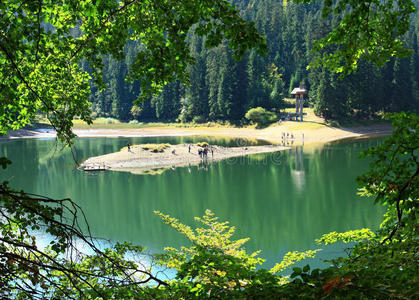 高山湖泊