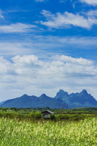 乡村景观