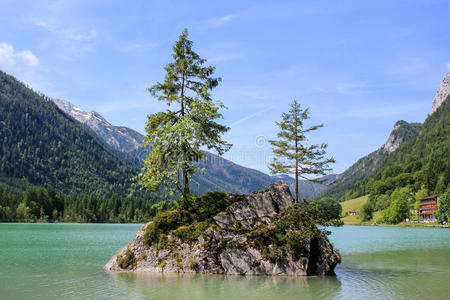 阿尔卑斯山