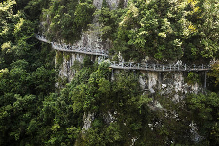 中国温州山水南溪江风景区图片