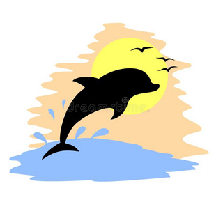 海豚晒太阳