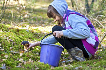 采蘑菇图片