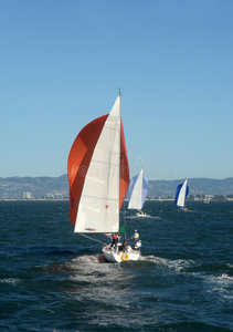 旧金山湾的帆船