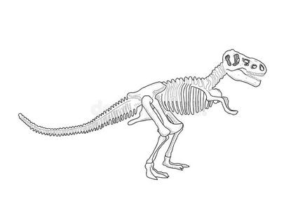 恐龙骨架简笔画 简单图片
