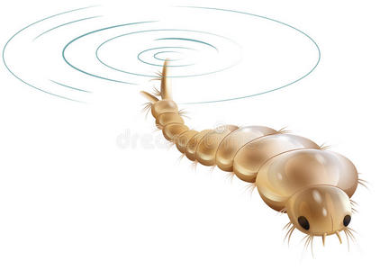 库蚊插画-库蚊手绘-库蚊卡通图-摄图新视界