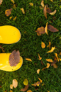 在绿色的草坪上的黄色橡胶靴