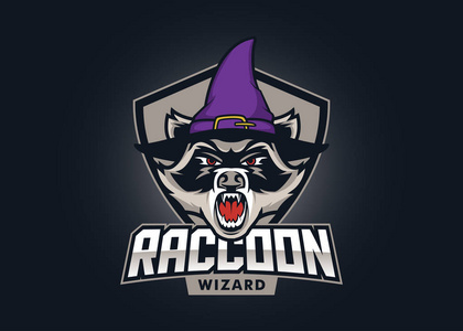 现代职业标志巫婆浣熊为体育队或比赛照片