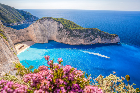 Navagio 海滩与沉船和花在希腊扎金索斯岛上