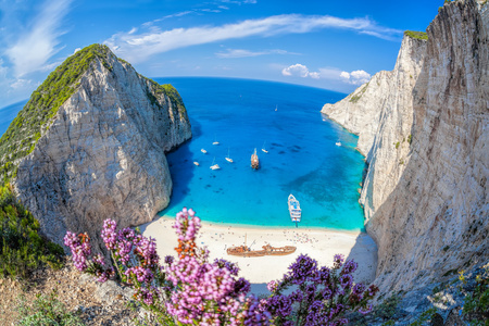 Navagio 海滩与沉船和花在希腊扎金索斯岛上