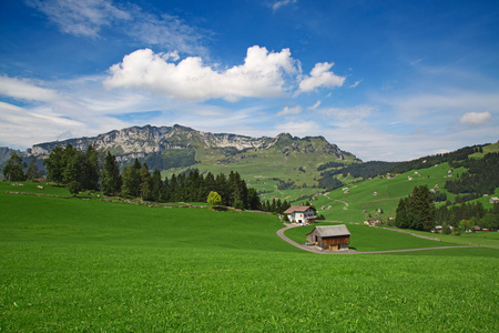 在 Walensee 夏日风景