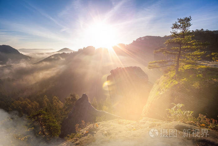 冥想在柔和的光在德国萨克森瑞士国家公园接近德累斯顿.