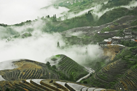 全景从上面。有薄雾的秋天风景与米梯田。中国, 阳朔, 龙米梯田