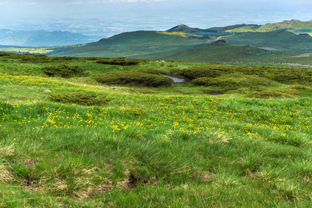 保加利亚索非亚市 Cherni Vrah 峰附近 Vitosha 山的壮观全景