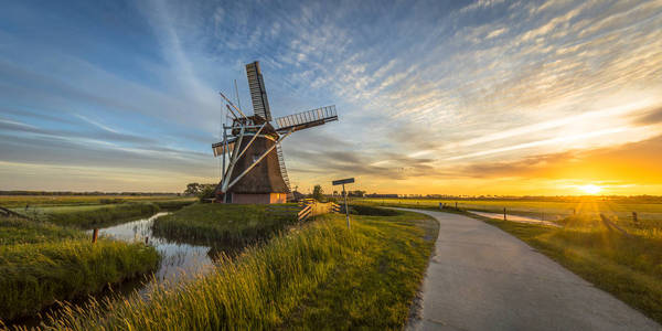 荷兰木风车与自行车跑道在夕阳下的夏季田野与鲜花和美丽的天空