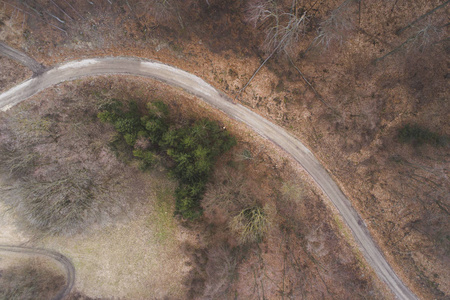 空中无人机飞行看法在森林和尘土路在森林在奥地利