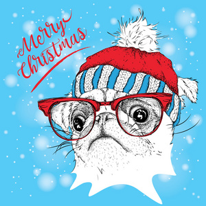 圣诞节海报与图像的哈巴狗画像在冬天的帽子。矢量图