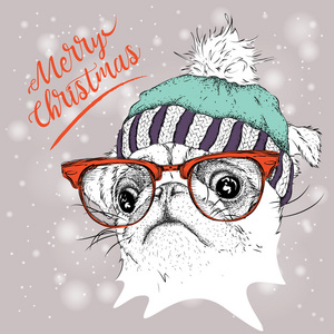 圣诞节海报与图像的哈巴狗画像在冬天的帽子。矢量图