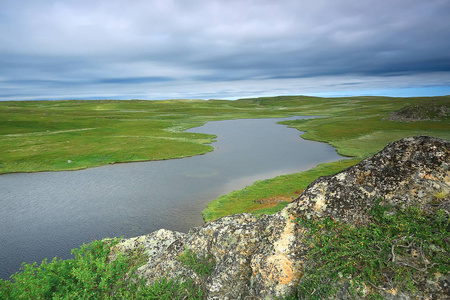 惊人的夏季苔原景观, 绿色苔藓, 生态系统照片