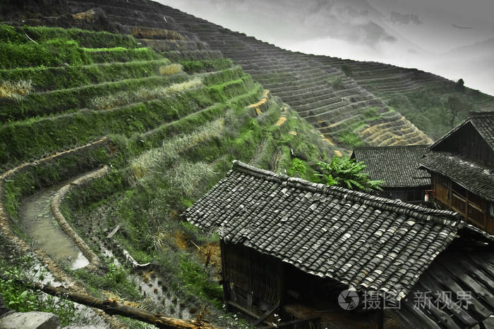 传统农舍。有薄雾的秋天风景与米梯田。中国, 阳朔, 龙米梯田