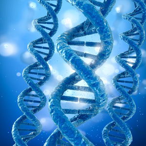 dna 分子的概念,医疗的精确 3d 图照片