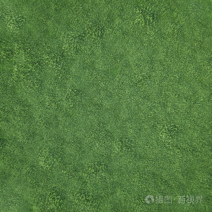 领域的柔软的草地,顶视图