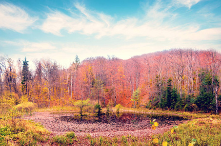 美丽神奇迷人的风景与湖在秋天的树林，在喀尔巴阡，乌克兰