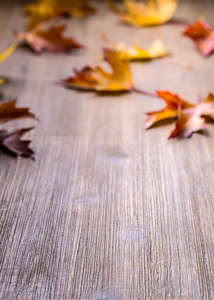 秋天。季节性的照片。秋天的树叶松在木板上。为您的文本产品和信息的自由空间