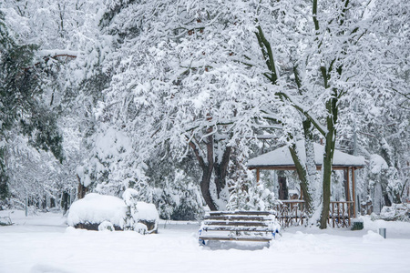 冬季公园的树木长凳和凉亭覆盖着新鲜的雪