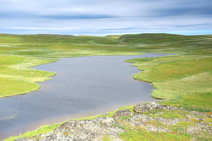 惊人的夏季苔原景观, 绿色苔藓, 生态系统