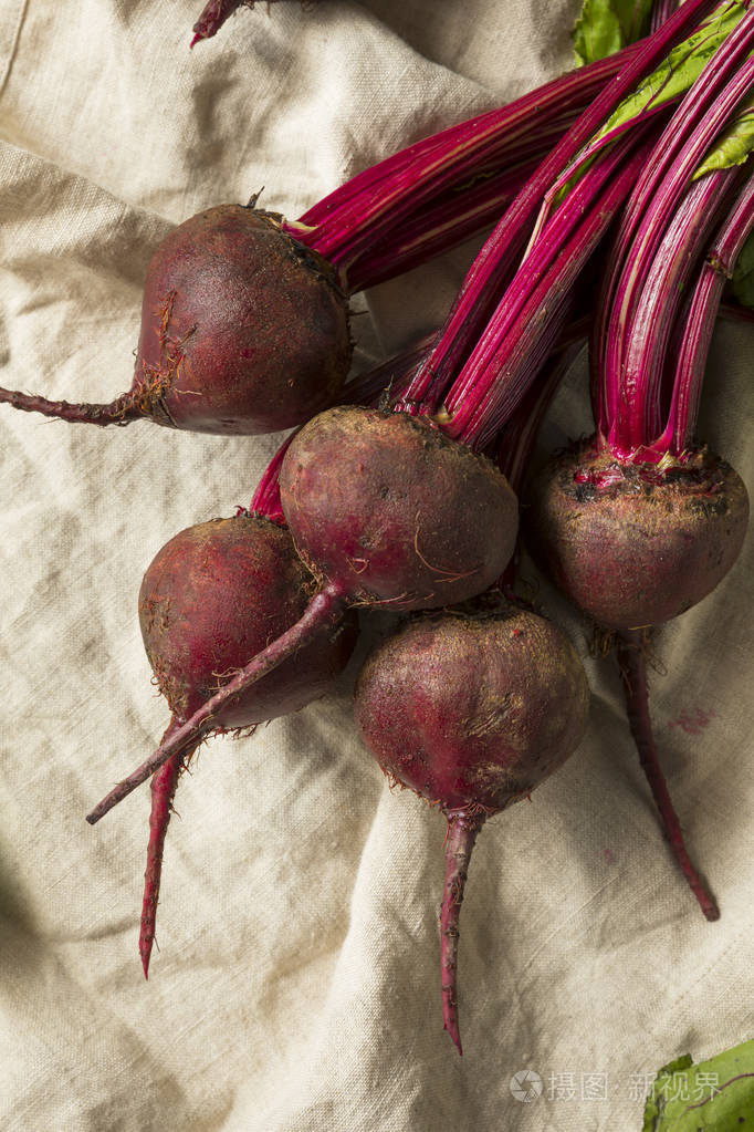 生红有机甜菜根茎
