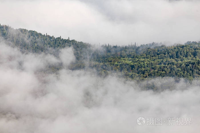 森林山间山谷中的迷雾