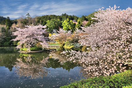 京都议定书龙安花园