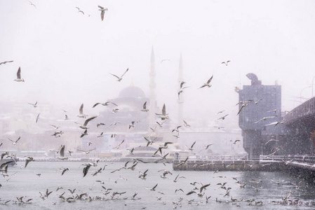 土耳其, 伊斯坦布尔, 2017年1月07日 伊斯坦布尔最重的降雪. 加拉塔大桥和新清真寺是位于土耳其伊斯坦布尔 Eminon