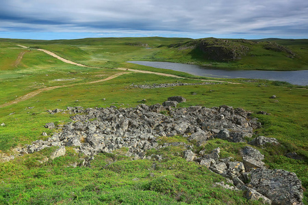 惊人的夏季苔原景观, 绿色苔藓, 生态系统照片