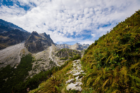 美丽的 Velka 学生 Dolina在斯洛伐克高 Tatra 山脉。美丽的夏季全景从飞鸟 Smokovec 通过 Hreb