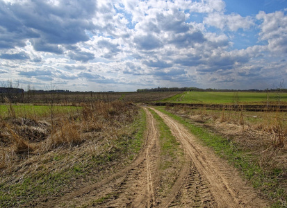 泥土路穿过田野在春天