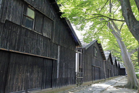 日本山形坂的惠州市三协仓库和榉树