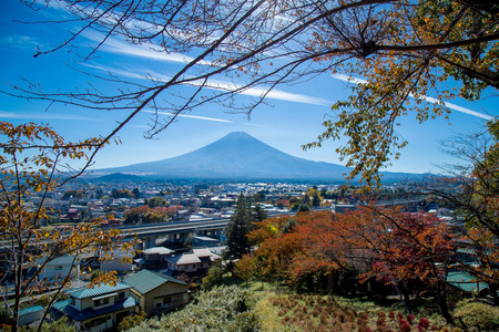 从日本秋季调味料河口湖看富士山